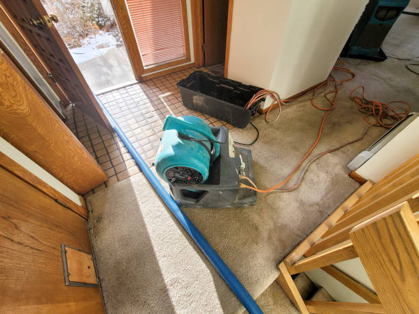 Best Water damage cleanup near me  in Fairborn, OH