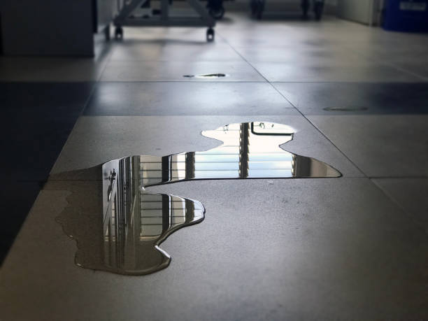 Best Water damage restoration near me  in Fairborn, OH