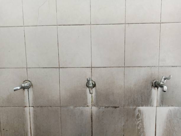 Best Water damage contractors near me  in Fairborn, OH