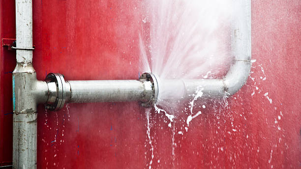 Best Professional water damage repair  in Fairborn, OH